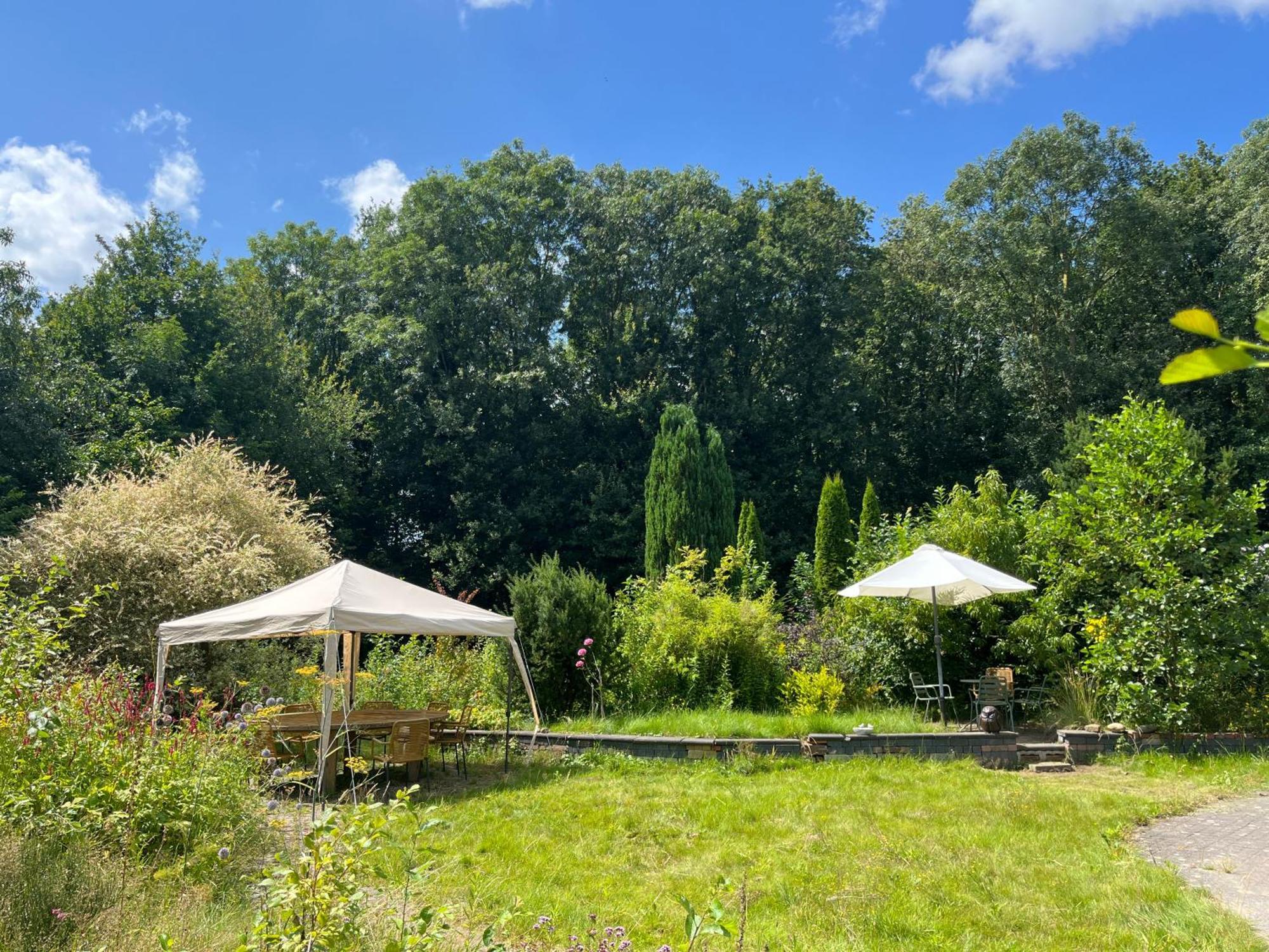 Hoeve Veganza B&B Vlagtwedde Экстерьер фото
