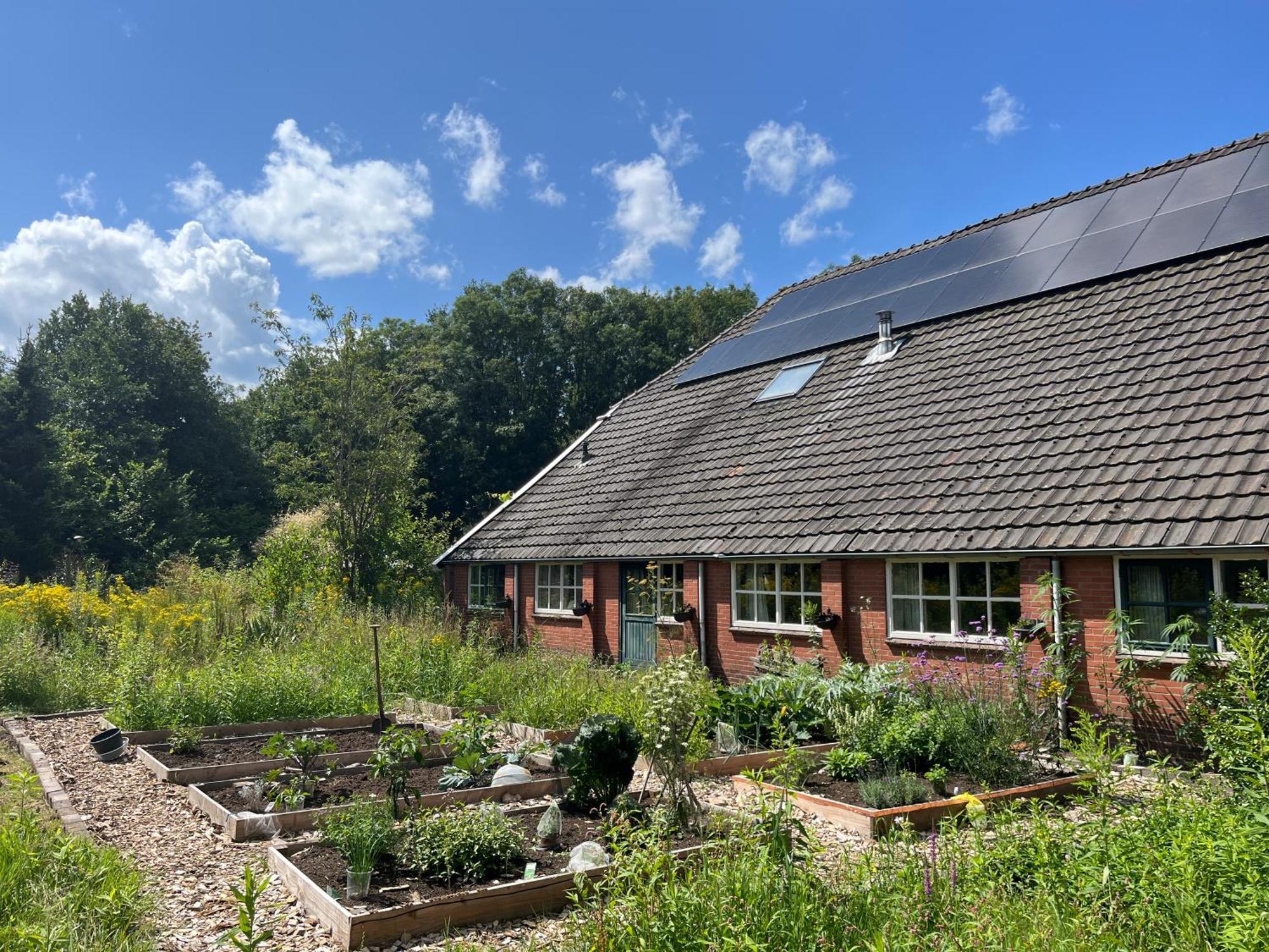Hoeve Veganza B&B Vlagtwedde Экстерьер фото