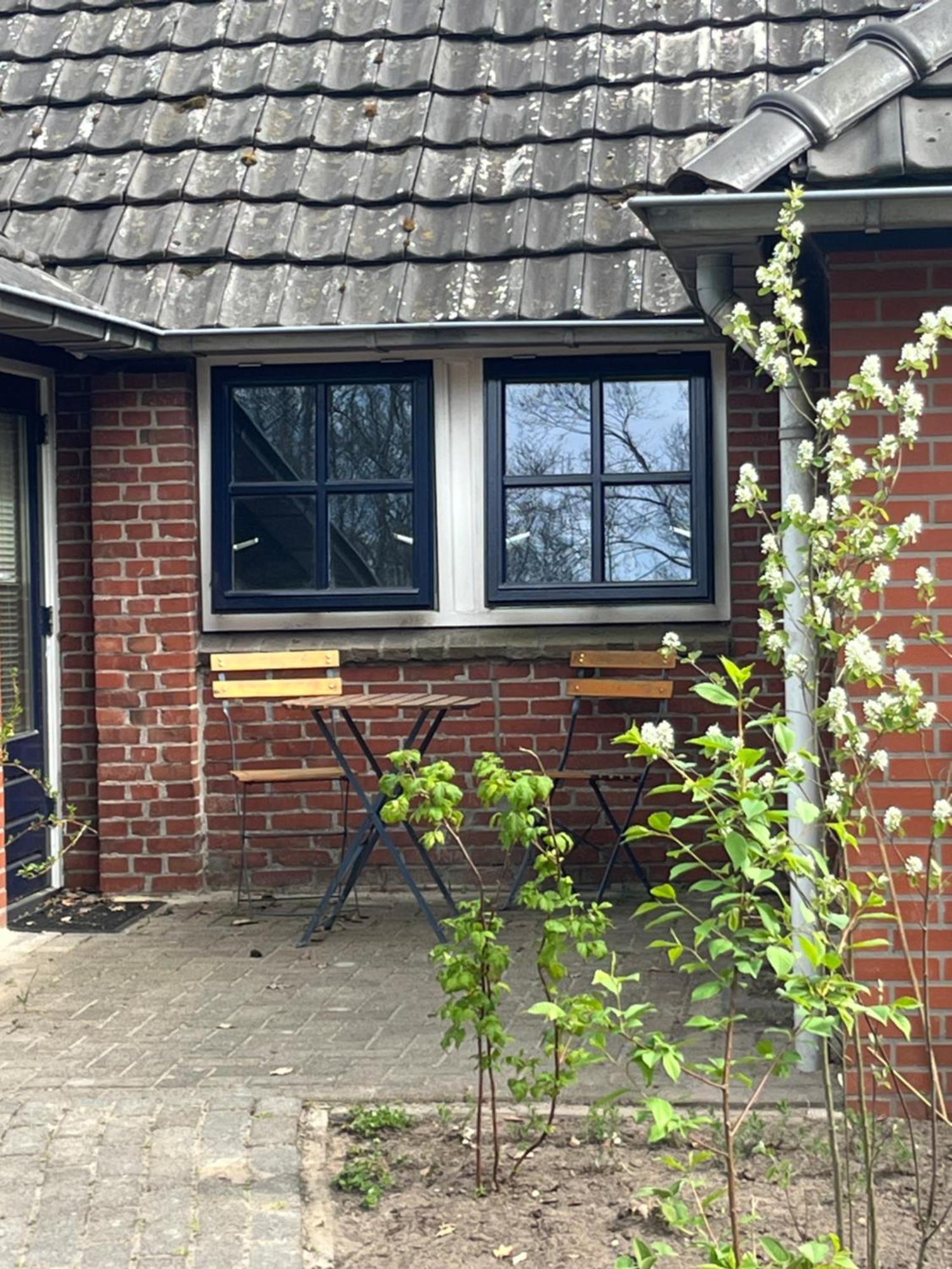 Hoeve Veganza B&B Vlagtwedde Экстерьер фото