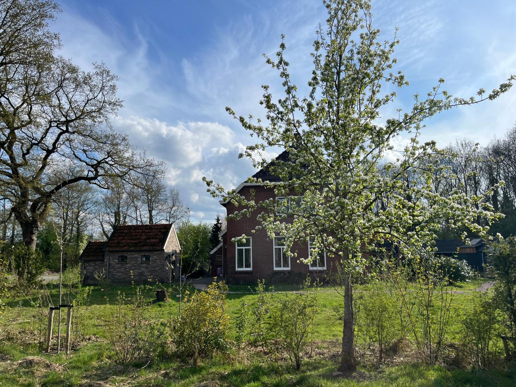 Hoeve Veganza B&B Vlagtwedde Экстерьер фото