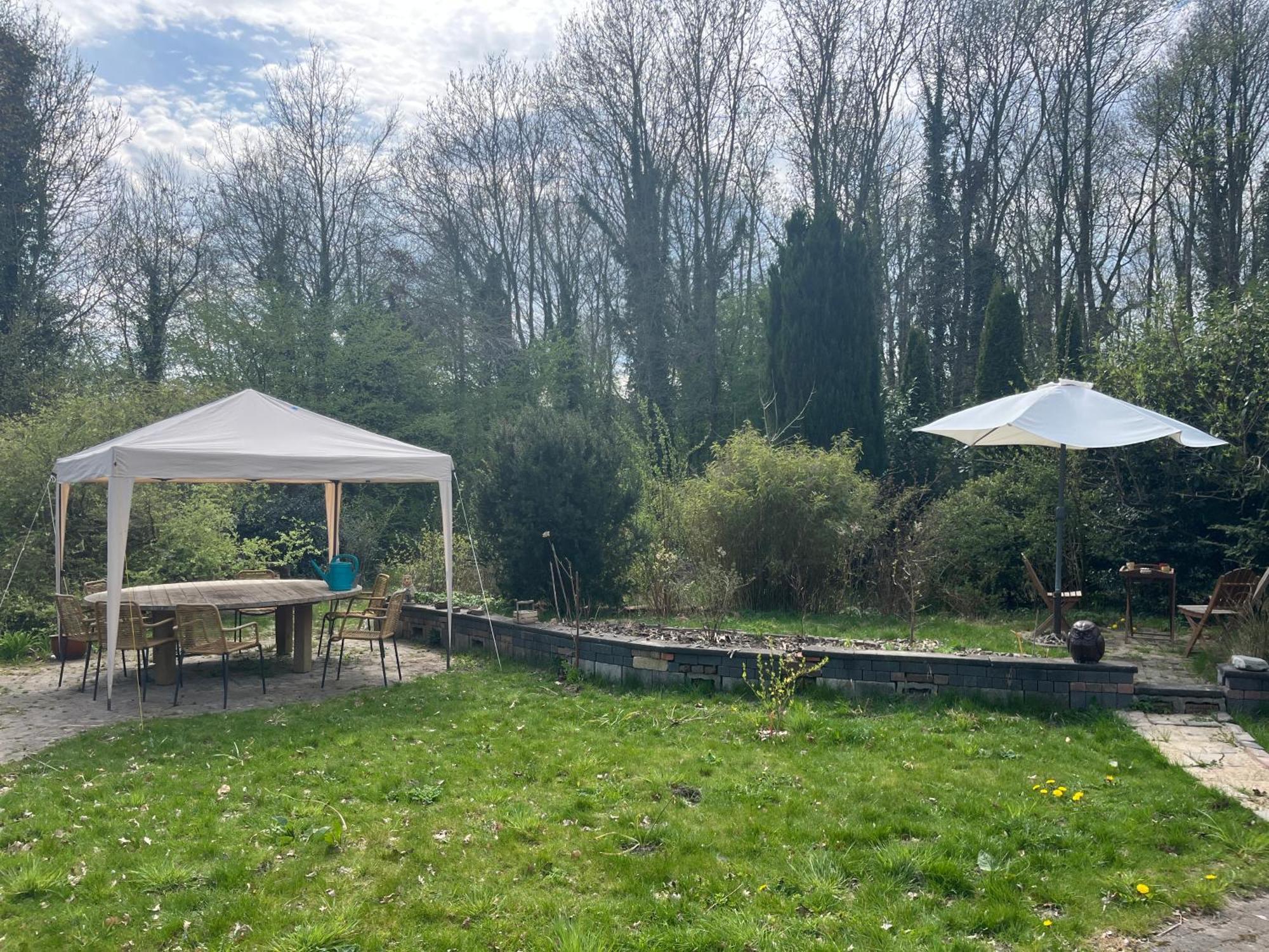 Hoeve Veganza B&B Vlagtwedde Экстерьер фото