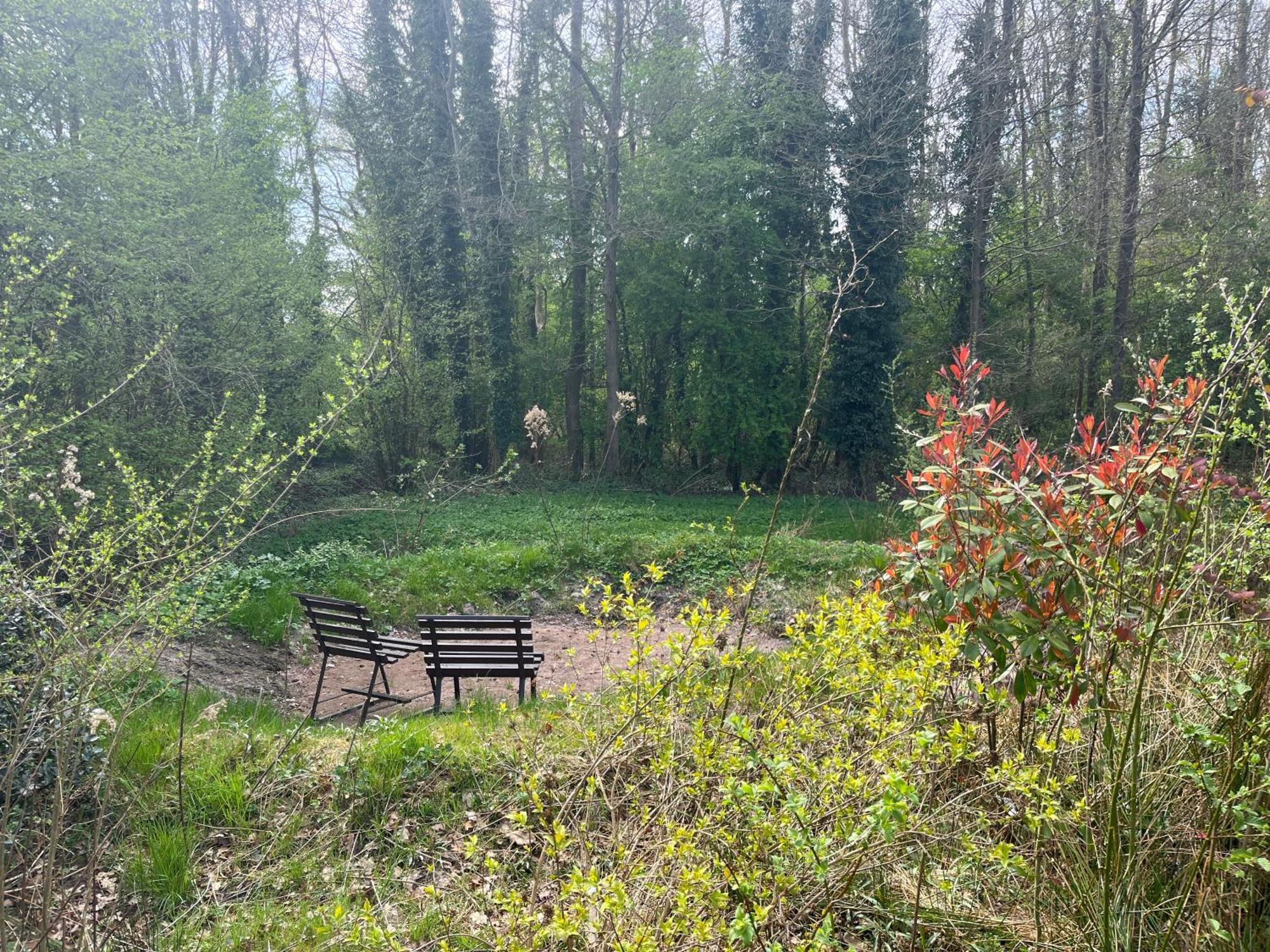 Hoeve Veganza B&B Vlagtwedde Экстерьер фото