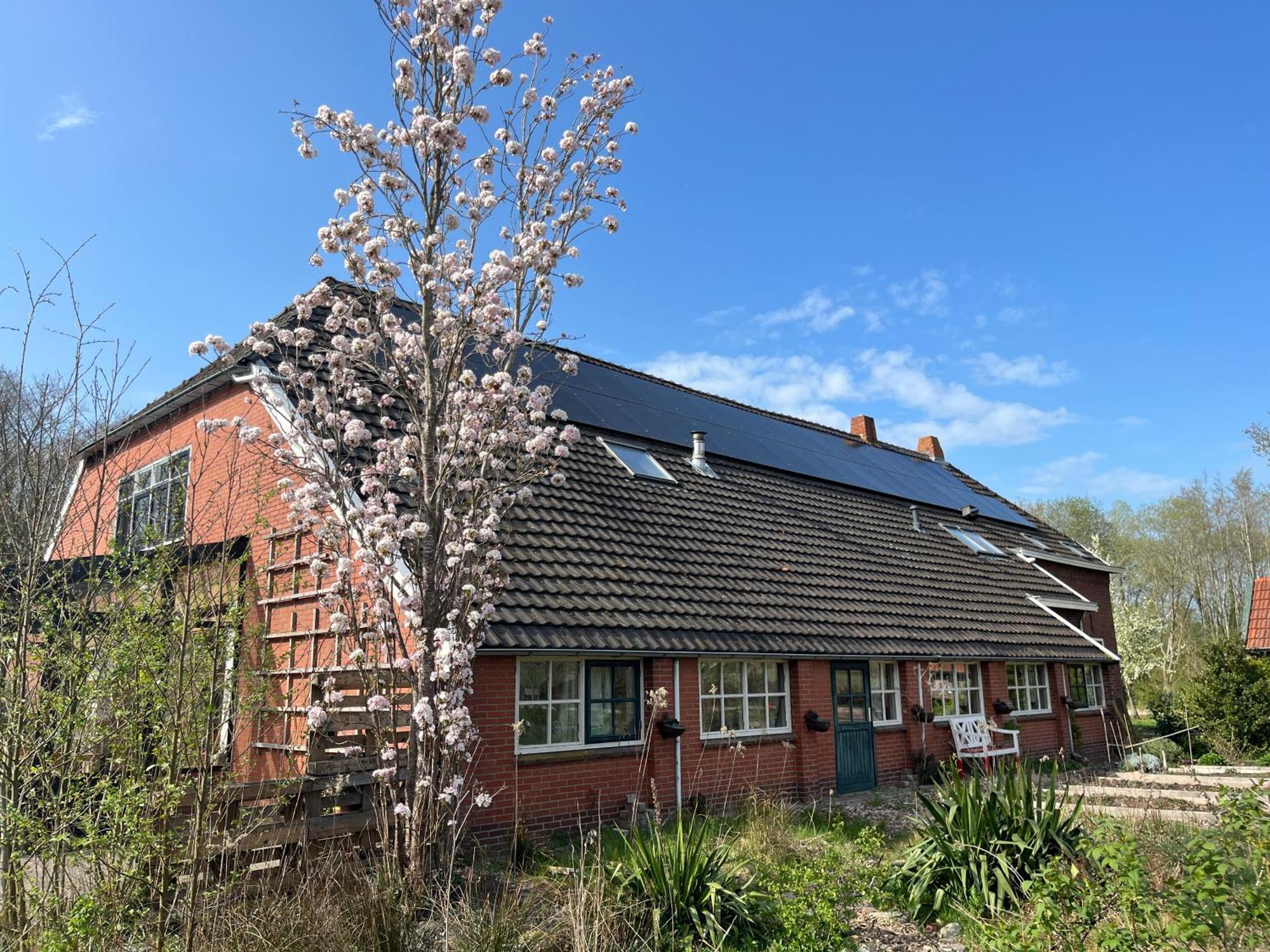 Hoeve Veganza B&B Vlagtwedde Экстерьер фото