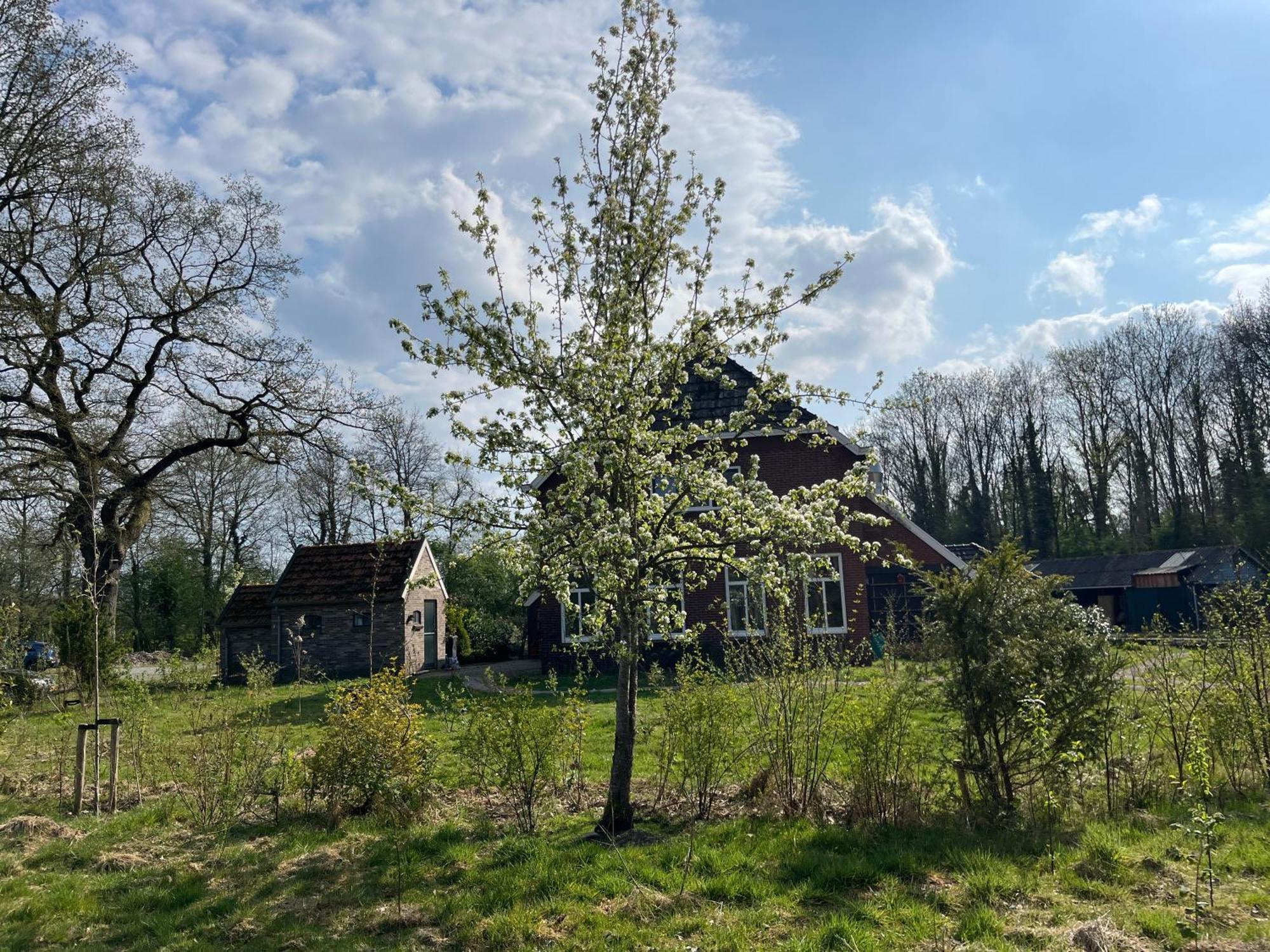 Hoeve Veganza B&B Vlagtwedde Экстерьер фото